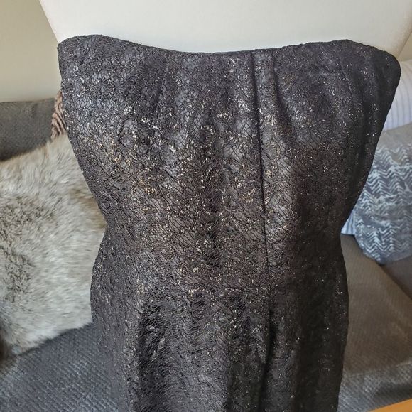 J Crew black lace sparkle strapless dress - Picture 6 of 13